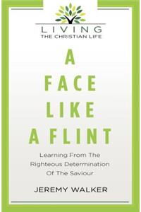 Face Like a Flint