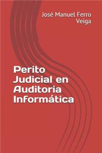 Perito Judicial En Auditoria Informática