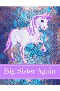 Big Sister Again