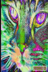 Psychedelic Cat