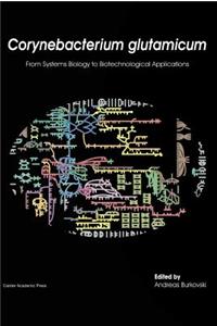 Corynebacterium Glutamicum