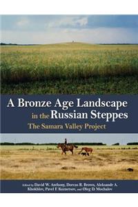 A Bronze Age Landscape in the Russian Steppes