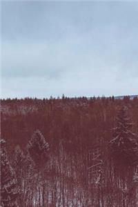 Forest Covered in Snow Notebook