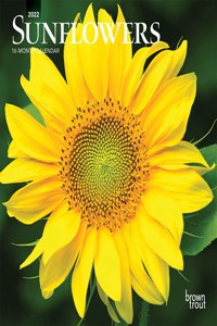 Sunflowers 2022 Mini