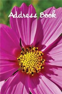 Address Book.