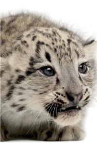 Snow Leopard Notebook & Journal. Productivity Work Planner & Idea Notepad