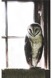 Barn Owl - Lined Notebook with Margins - 5Narrow