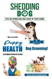 Shedding Dog? & Puppy Health! & Dog Grooming!