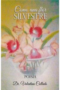 Como Una Flor Silvestre