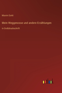 Mein Weggenosse und andere Erzählungen