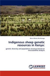 Indigenous sheep genetic resources in Kenya