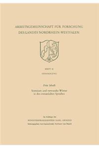 Somnium und verwandte Wörter in den romanischen Sprachen