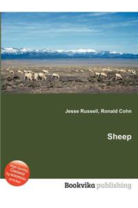 Sheep