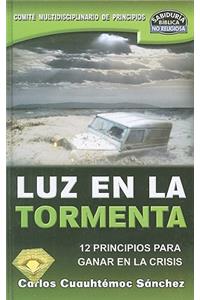 Luz en la Tormenta: 12 Principios Para Ganar en la Crisis