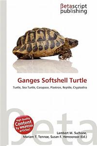 Ganges Softshell Turtle