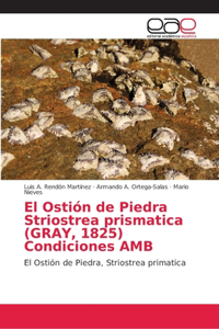 Ostión de Piedra Striostrea prismatica (GRAY, 1825) Condiciones AMB