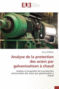 Analyse de la protection des aciers par galvanisatiosn à chaud