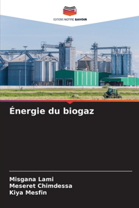 Énergie du biogaz