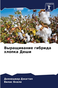 Выращивание гибрида хлопка Деши