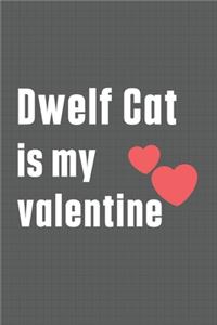 Dwelf Cat is my valentine