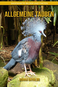 Allgemeine Tauben