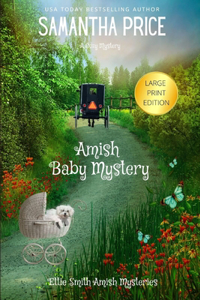 Amish Baby Mystery LARGE PRINT