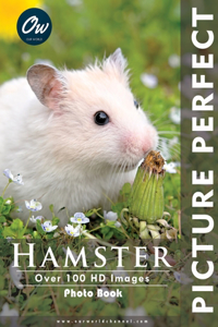 Hamster