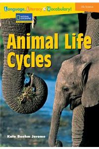 Animal Life Cycles