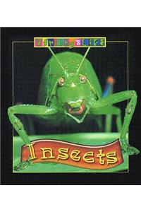 Insects