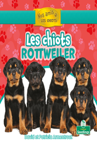 Les Chiots Rottweiler (Rottweiler Puppies)