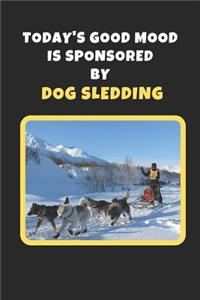 Today's Good Mood Is Sponsored By Dog Sledding