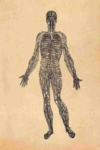 Anatomy Notebook