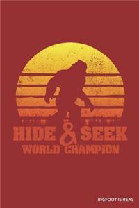 Hide & Seek World Champion Bigfoot Is Real