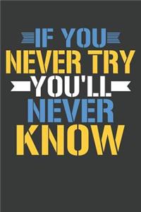 If You Never Try You'll Never Know