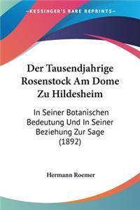 Tausendjahrige Rosenstock Am Dome Zu Hildesheim