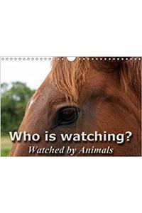 Who is Watching? - Watched by Animals! 2017