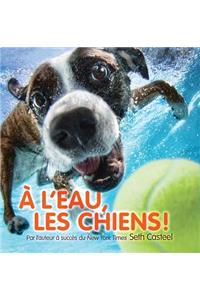 ? l'Eau, Les Chiens!