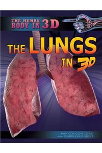 Lungs in 3D