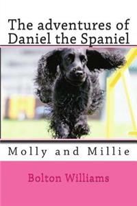 The adventures of Daniel the Spaniel