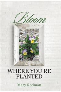 Bloom Where You're Planted