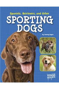 Spaniels, Retrievers, and Other Sporting Dogs