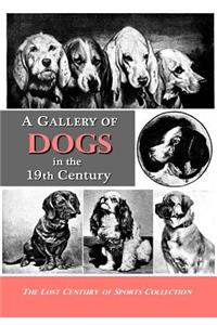 Gallery of Dogs in the 19th Century