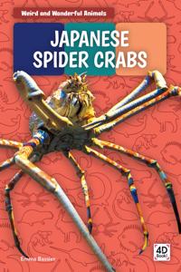 Japanese Spider Crabs