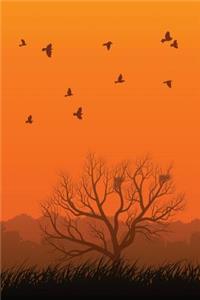 Southern Flight Flock Journal