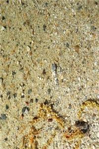 Journal Cement Mixture Photo
