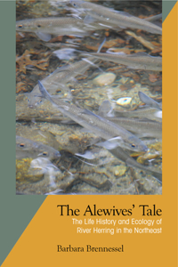 The Alewives Tale: The Life History and Ecology of River Herring in the Northeast