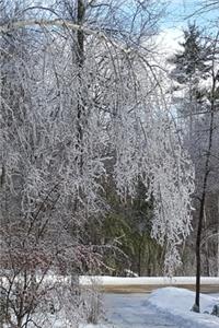 2020 Daily Planner Winter Ice Storm Birch Tree Snow Covered 388 Pages