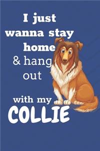 I just wanna stay home & hang out with my Collie