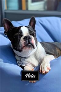 Boston Terrier Dog Pup Puppy Doggie Notebook Bullet Journal Diary Composition Book Notepad - Bedtime