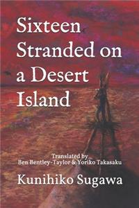 Sixteen Stranded on a Desert Island